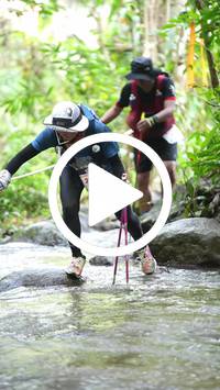 BIB:  <button type="button" onclick="openModal(26821042)" class="btn btn-primary btn-sm float-right" data-toggle="modal" data-target=".modal-high-quality">
                <i class="fa fa-download"></i> Download
                </button>